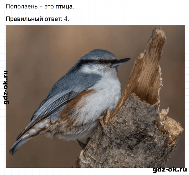 ГДЗ по математике 3 класс Рудницкая, Юдачева задание №31 страница 128 часть 2
