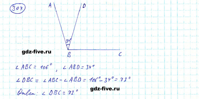 ГДЗ по математике 5 класс Мерзляк задание №307