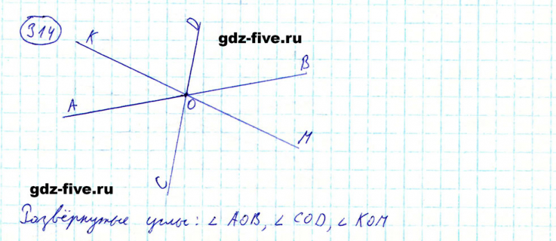 ГДЗ по математике 5 класс Мерзляк задание №314