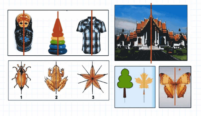 ГДЗ по математике 6 класс Дорофеев, Шарыгин, Суворова номер 576