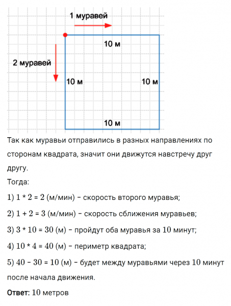 ГДЗ по математике 6 класс Мерзляк Рабочая тетрадь часть 1 задание №242