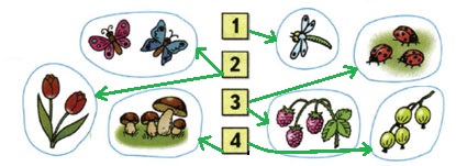 Математика 1 класс рабочая тетрадь Моро 1 часть страница 12