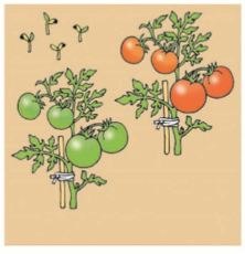 Математика 1 класс учебник Моро 1 часть страница 18