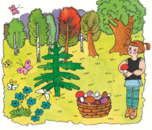 Математика 1 класс учебник Моро 1 часть страница 22